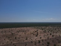 Ibama conclui operação contra desmatamento ilegal, no Pantanal