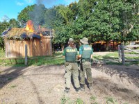 Ibama desativa mais de 20 acampamentos de invasores na Terra Indígena Apyterewa (PA)