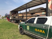 Ibama doa 80m³ de madeira à instituição de ensino e pesquisa no RS