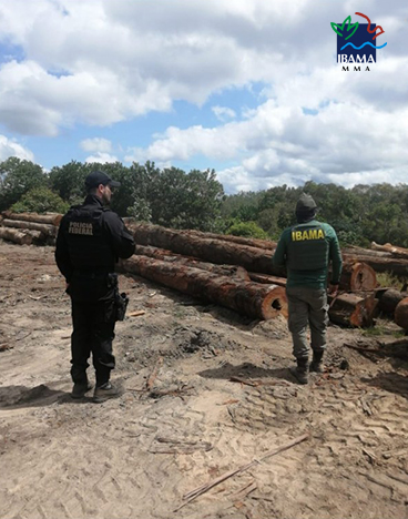 2023-06-17_apreensao_madeira_Ibama.jpeg