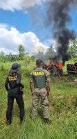 Ibama e Polícia Federal desmobilizam extração de madeira na Terra Indígena Alto Rio Guamá