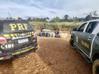 Ibama e PRF embargam 16 pistas de pouso e decolagem clandestinas na TI Yanomami