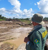 Ibama embarga área equivalente a 1,5 mil campos de futebol desmatada ilegalmente no Amazonas