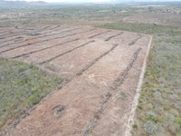 Ibama embarga área equivalente a 700 campos de futebol desmatada ilegalmente em Alagoas