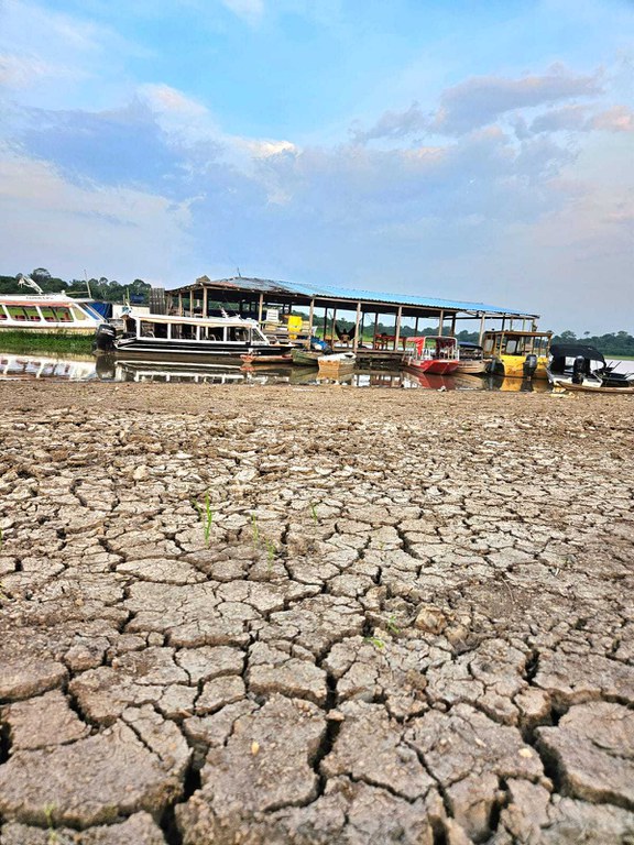 2023-10-04_Ibama_envia_veterinarios_ao_Amazonas