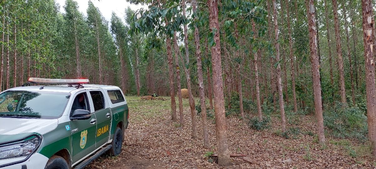 2023-05-15_operacao_renascer