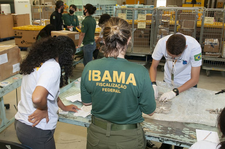 2023-03-30_fiscalizacao_patrimonio_biologico_Ibama.jpg