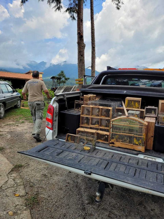 2023-11-08_Ibama_realiza_soltura_de_758_animais_silvestres_na_natureza_no_Rio_de_Janeiro