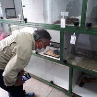 Ibama recebe visita do Ministério da Agricultura do Chile