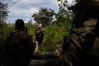 Multas por desmatamento na Amazônia aumentam 219% no trimestre