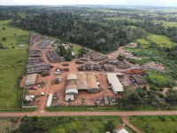 Operação do Ibama desmonta fraude para “esquentar” madeira ilegal