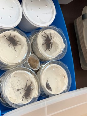 Foto: Polícia Federal - PF