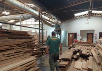 Responsável técnico é multado pelo Ibama por irregularidades encontradas em empresa madeireira de Barueri, SP