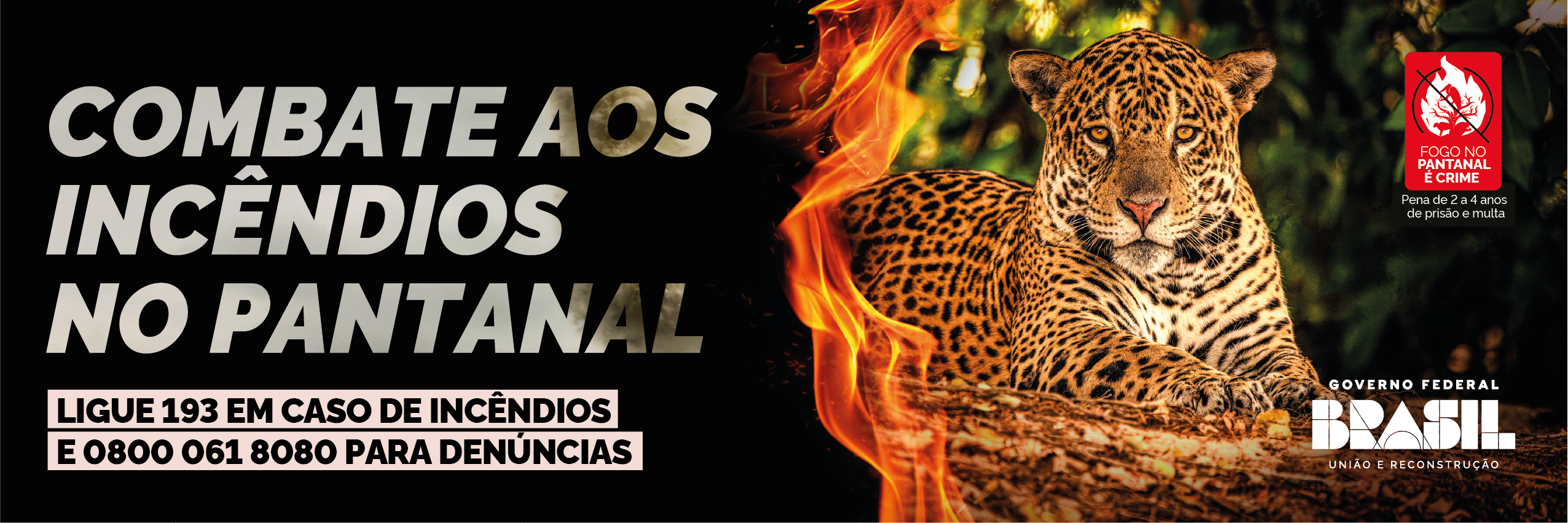 Banner com o texto combate aos incêndios no Pantanal, ligue 193 em caso de incêndios e 08000618080 para denúncias em fundo preto com imagem de fogo e de uma onça pintada em cima de uma árvore. Símbolo de fogo no pantanal é crime, pena de 2 a 4 anos de prisão ou multa. Logomarca do Governo Federal, Brasil união e reconstrução.