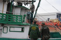 Defeso do camarão e da lagosta vigora até 30 de abril