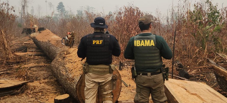 Ibama aplica R$ 80 milhões em multas por queimadas ilegais em Novo Progresso, PA