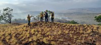 Ibama atua em Terras Indígenas no combate a incêndios em Roraima