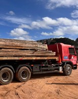 Ibama doa madeira apreendida para a reforma de casas no município de Chuí (RS)