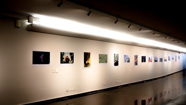 2024-06-04_Ibama_promove_eventos_ambientais_no_Junho_Verde_em_varios_estados_e_no_DF-1