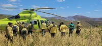 No Dia Nacional do Cerrado, Ibama combate incêndios florestais e desmatamento ilegal no bioma