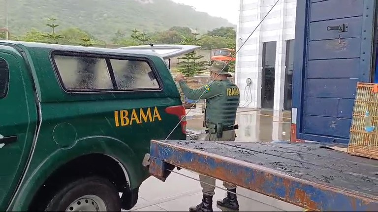 2024-06-06_Operacao_apreende_171_aves_silvestres_no_Sertao_de_Pernambuco