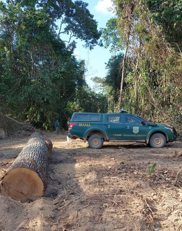 Operação Metaverso do Ibama aplica R$ 54 milhões em multas por fraudes no DOF e no Sinaflor