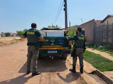 Dois ficais do Ibama