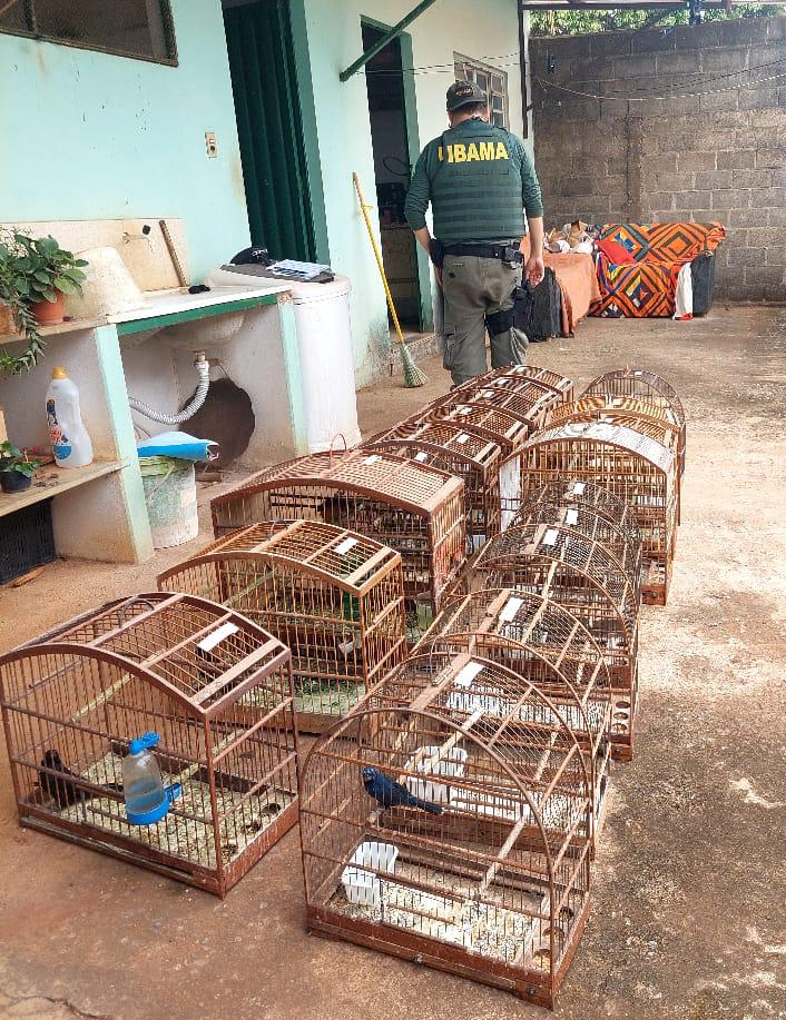 2025-10-21 Agente do Ibama durante Operação Gênesis, em Minas Gerais.jpg