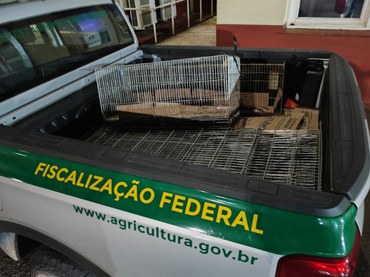 2025-08-01 Parte das gaiolas apreendidas onde os espécimes foram encontrados.jpeg