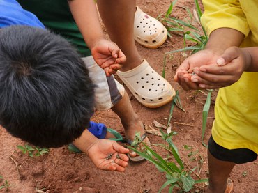 2025-10-22 Comunidades indígenas do MS recebem Ibama em ação de Educação Ambiental sobre Agrotóxicos.jpg