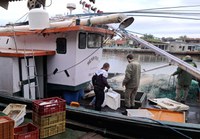 Apreensão de barco pesqueiro revela esquema de fraude e captura de espécies ameaçadas em SC