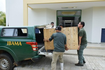 2025-05-12 Equipe do Ibama e do CPRH chegando com as 27 araras-canindés resgatadas.jpg