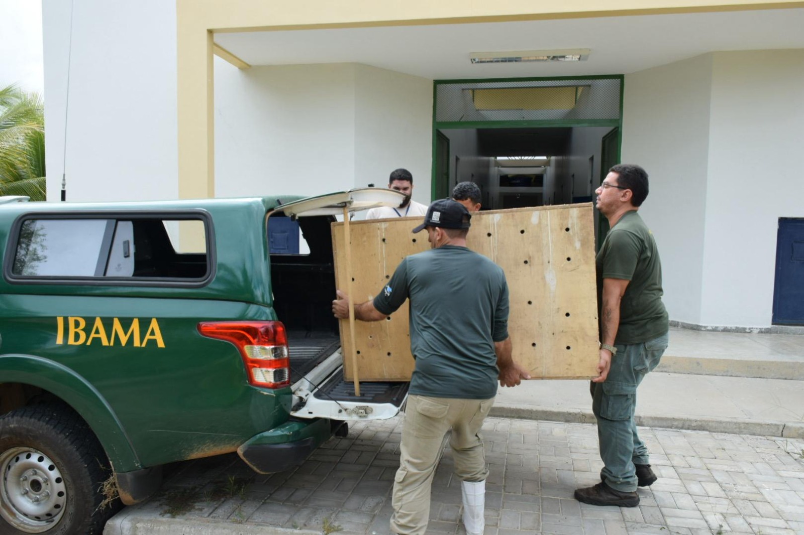 2025-05-12 Equipe do Ibama e do CPRH chegando com as 27 araras-canindés resgatadas.jpg
