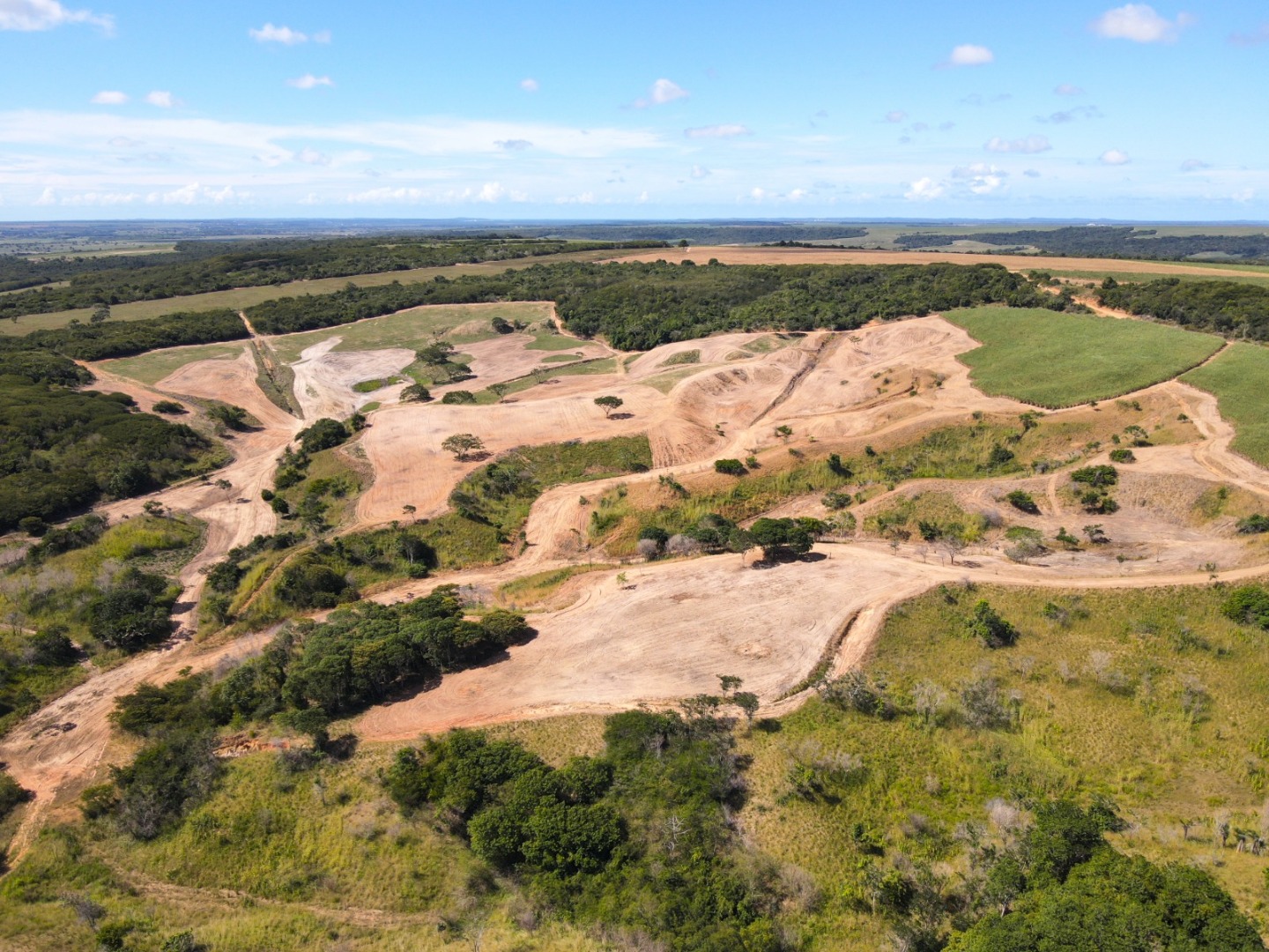 2025-05-27 Área equivalente a cerca de 1.600 campos de futebol foi degradada na Mata Atlântica do RN.jpeg