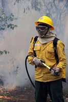 Brasil registra queda de 56,8% nos focos de calor e 61% nas áreas queimadas em julho