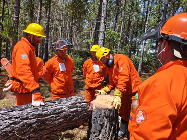 Capacitação de brigadistas para uso de motosserra é promovida pelo Prevfogo/Ibama.