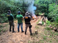 Caçadores são flagrados com animal silvestre abatido na Terra Indígena Arara (PA)
