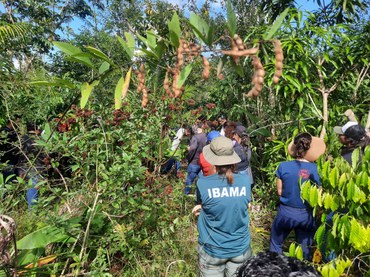 Representantes do Ibama e estudantes universitários durante o evento.jpg