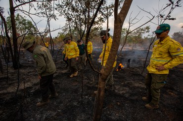 2025-09-25 Ibama capacita servidores em Curso de Perícia de Incêndios Florestais.jpg