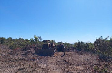 Máquinas usadas nos crimes ambientais