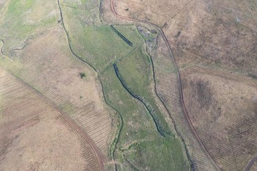 2025-07-29 Ibama constatou uso do solo para plantio de Pinus em ecossistema protegido pela Lei da Mata Atlântica.jpeg