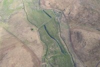 Destruição dos Campos de Altitude ameaça biodiversidade e cultura da Mata Atlântica em Santa Catarina