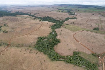 Área desmatada no planalto catarinense evidencia pressão sobre ecossistemas da Mata Atlântica