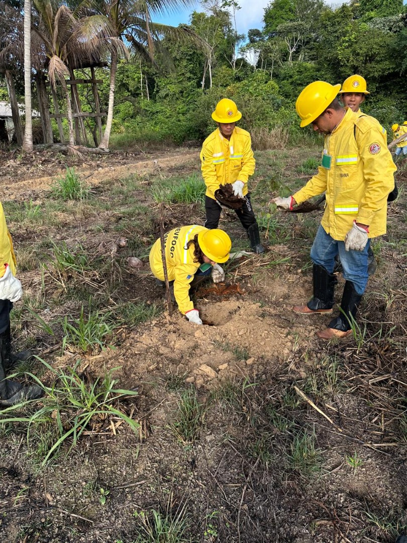 2025-06-09 Brigadista promovem plantio em base do Prevfogo no Pará.jpeg