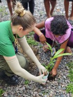 Estudantes de Manaus participam de ação de educação ambiental