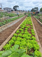 Extensão de horta exigida pelo licenciamento é inaugurada no PR