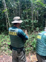 Fiscalização do Ibama apreende 268 animais silvestres na Bahia