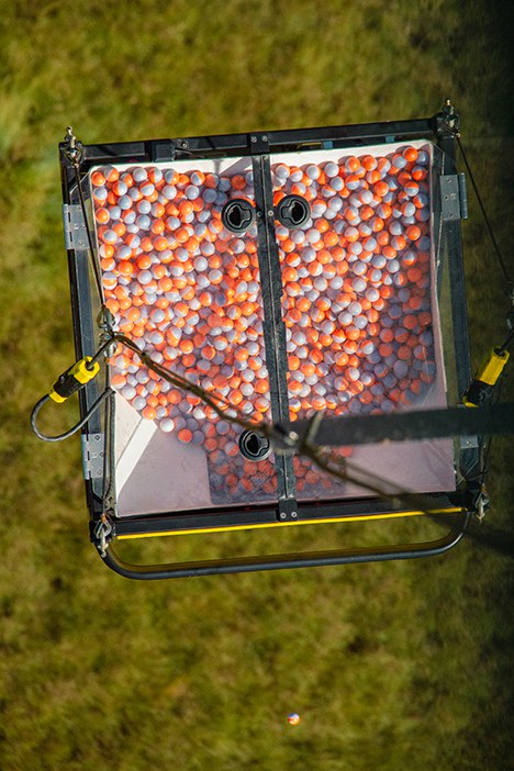 Esferas conhecidas como “ovos de dragão” erguidas para a execução da queima prescrita