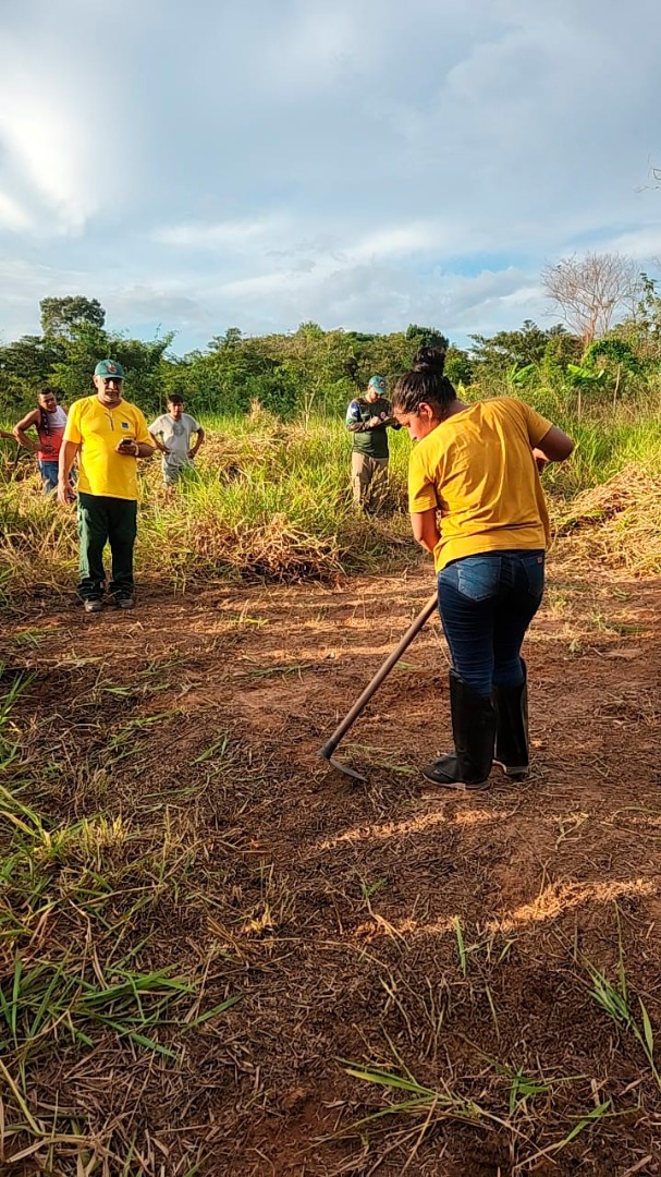 2025-06-23 Ibama realiza formação de brigadista no Pará.jpg