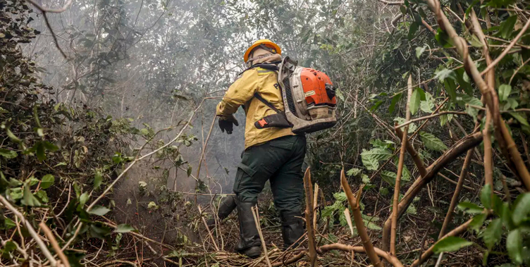 Sala de Situação é responsável por planejar e implementar ações integradas e transversais de enfrentamento a incêndios em vegetação de forma preventiva e permanente.png